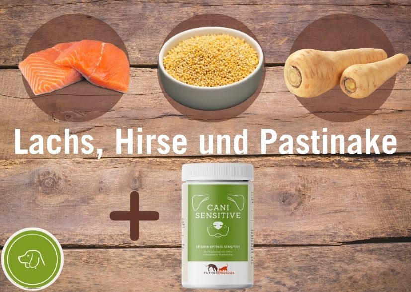 Lachs mit Hirse und Pastinake für Hunde mit Vitamin Optimix Cani Sensitive
