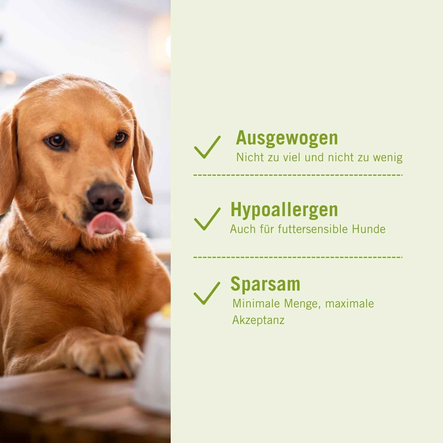 Vitamin Optimix | Cani Cooking 500 g | Ausgewogen, Hypoallergen, Sparsam Vitamin Optimix | Cani Cooking 500 g | Ausgewogen, Hypoallergen, Sparsam