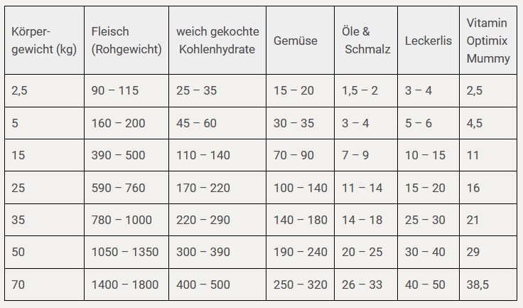 Trächtige Hündin richtig barfen I Rezept ab der 5. Woche